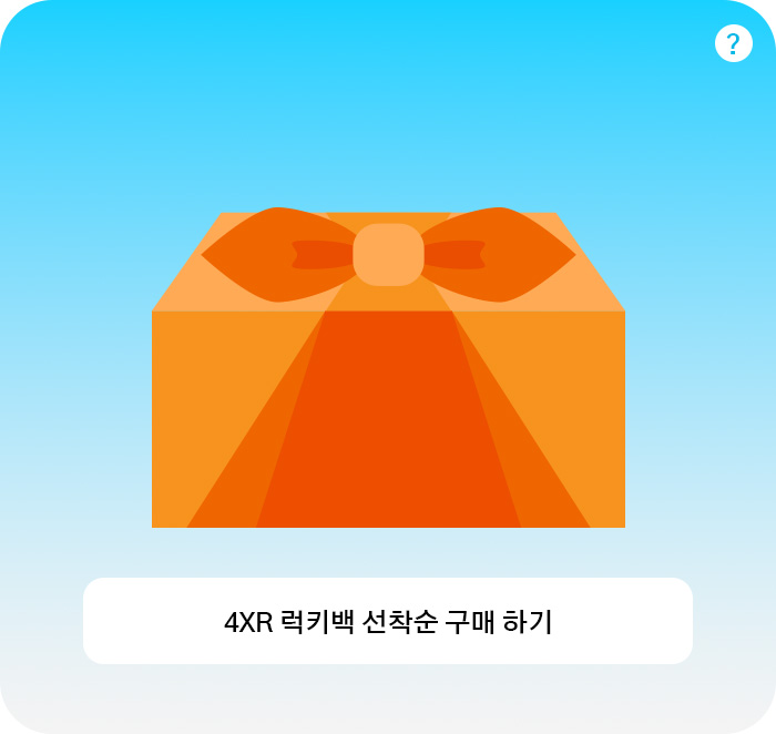 4XR 럭키백