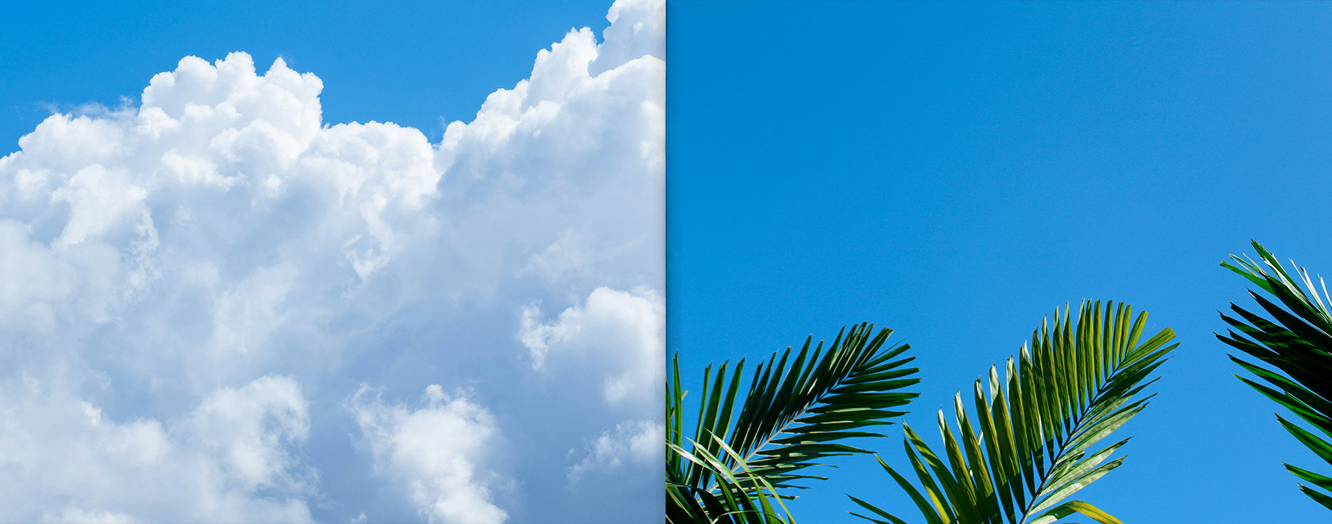 VISUAL BACKGROUND IMAGE PC